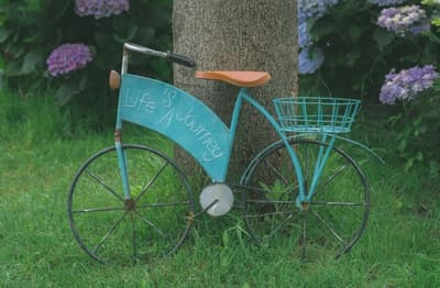 Maximizing Product Value: Effective Product Life Cycle Management Marketing